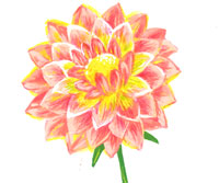 健康を増進する善玉菌研究のプロフェッショナル